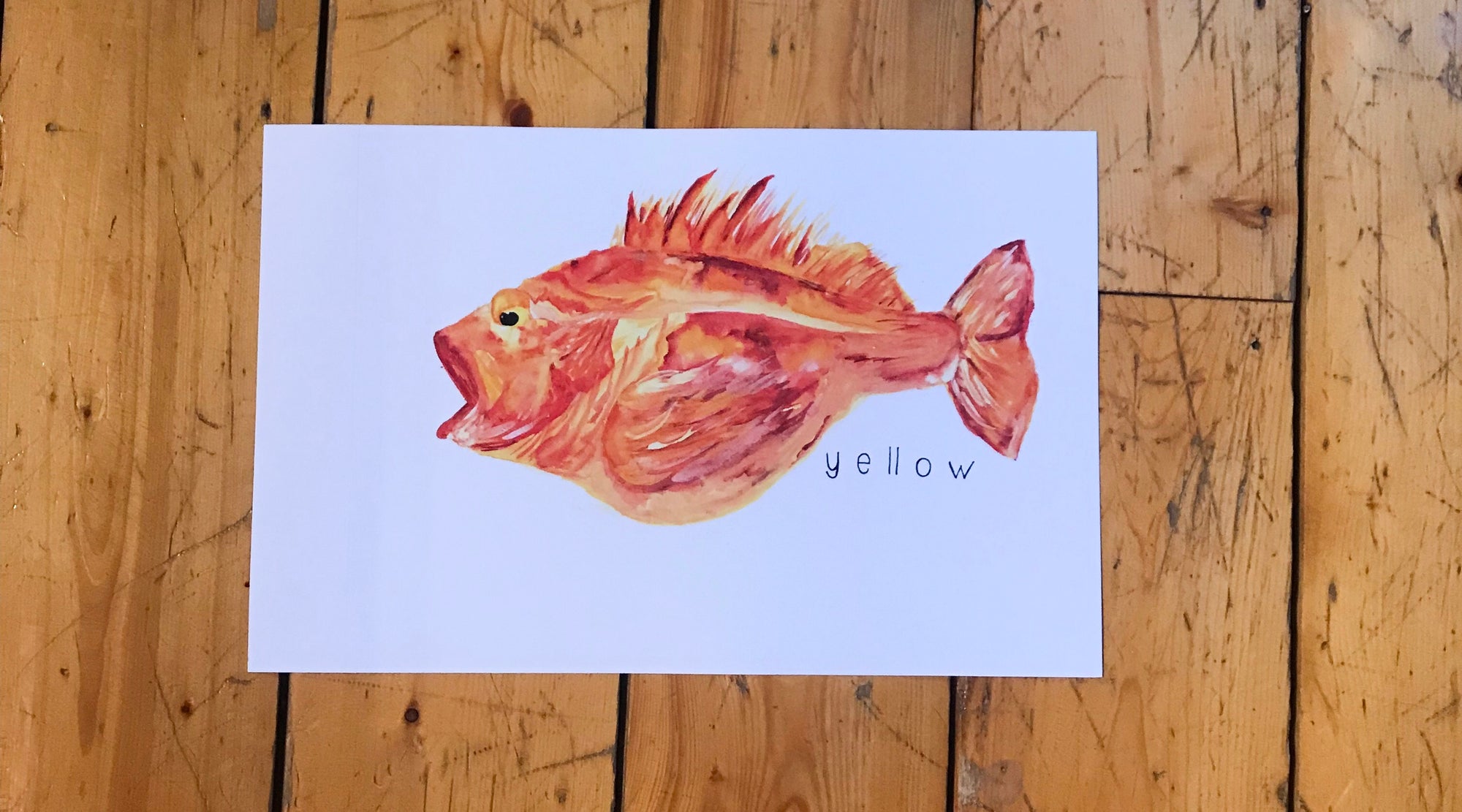 Watercolor YellowEye Rockfish