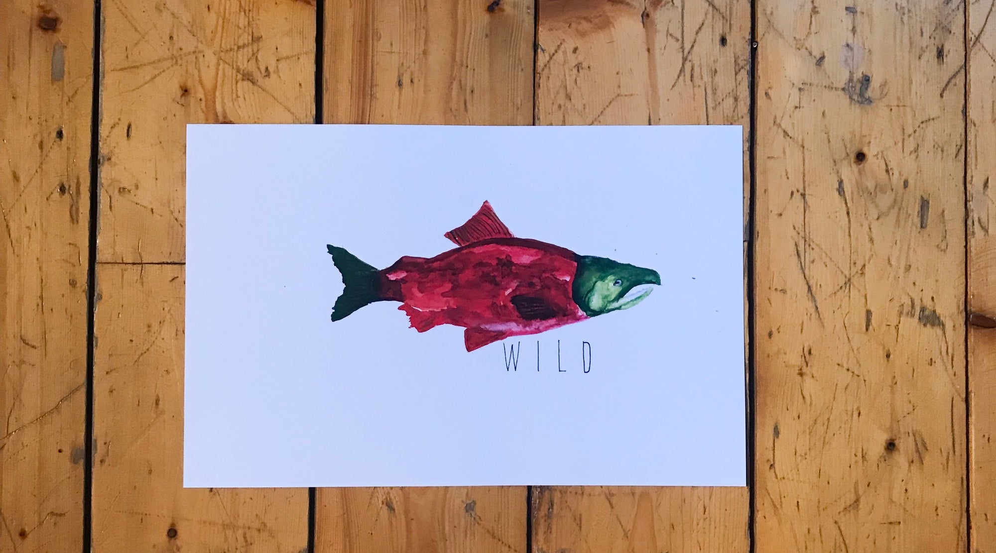 Watercolor Red Sockeye Salmon