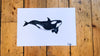 Watercolor Orca Whale